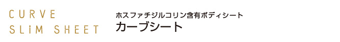 貼るだけエクササイズ。ホスファチジルコリン含有ボディシート CORVE SLIM SHEET/カーブシート